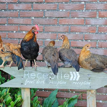 Vakantiehuisje Zand 5 Personen - Zeezand Recreatie Stolpen ภายนอก รูปภาพ