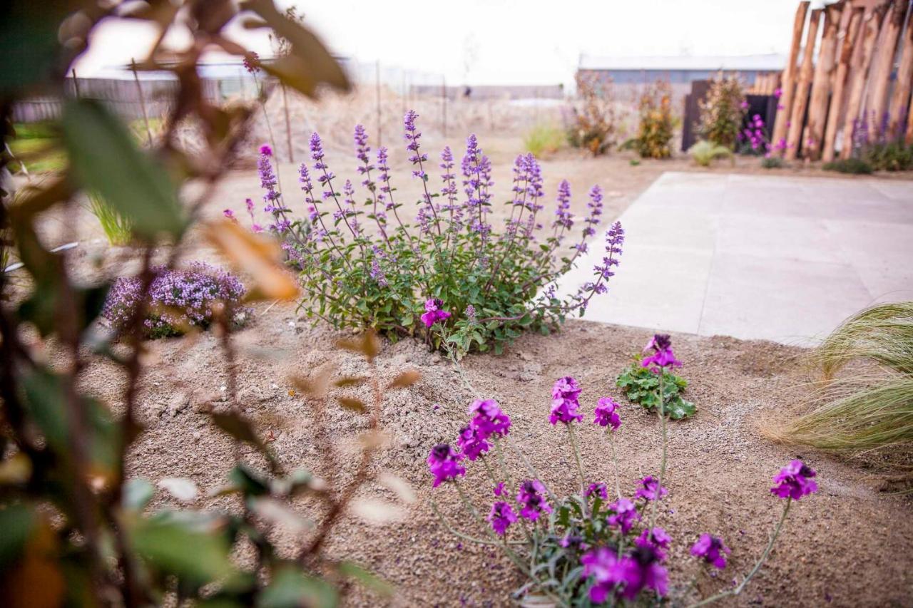 Vakantiehuisje Zand 5 Personen - Zeezand Recreatie Stolpen ภายนอก รูปภาพ