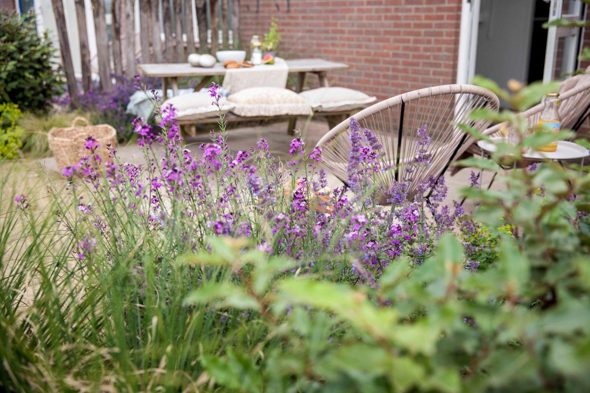 Vakantiehuisje Zand 5 Personen - Zeezand Recreatie Stolpen ภายนอก รูปภาพ